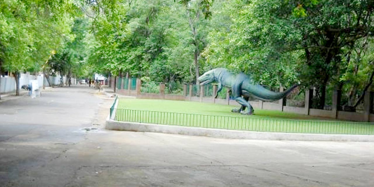 Guindy National Park, Chennai Tourist Attraction